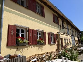 Ein ländliches Haus mit Blumen in den Fensterläden