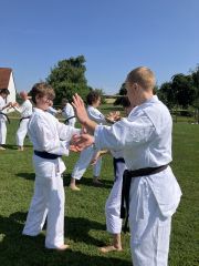 Mehrere Karateka üben auf einer Wiese paarweise. Die Sonne scheint.