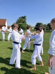 Mehrere Karateka üben auf einer Wiese paarweise. Die Sonne scheint.