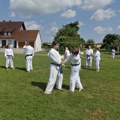 Mehrere Karateka üben auf einer Wiese paarweise. Die Sonne scheint.